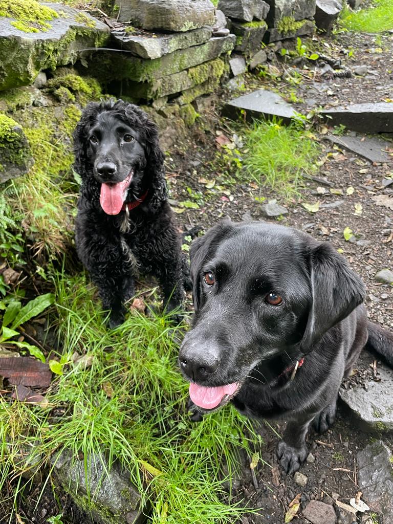 Sylvie and Maggie
