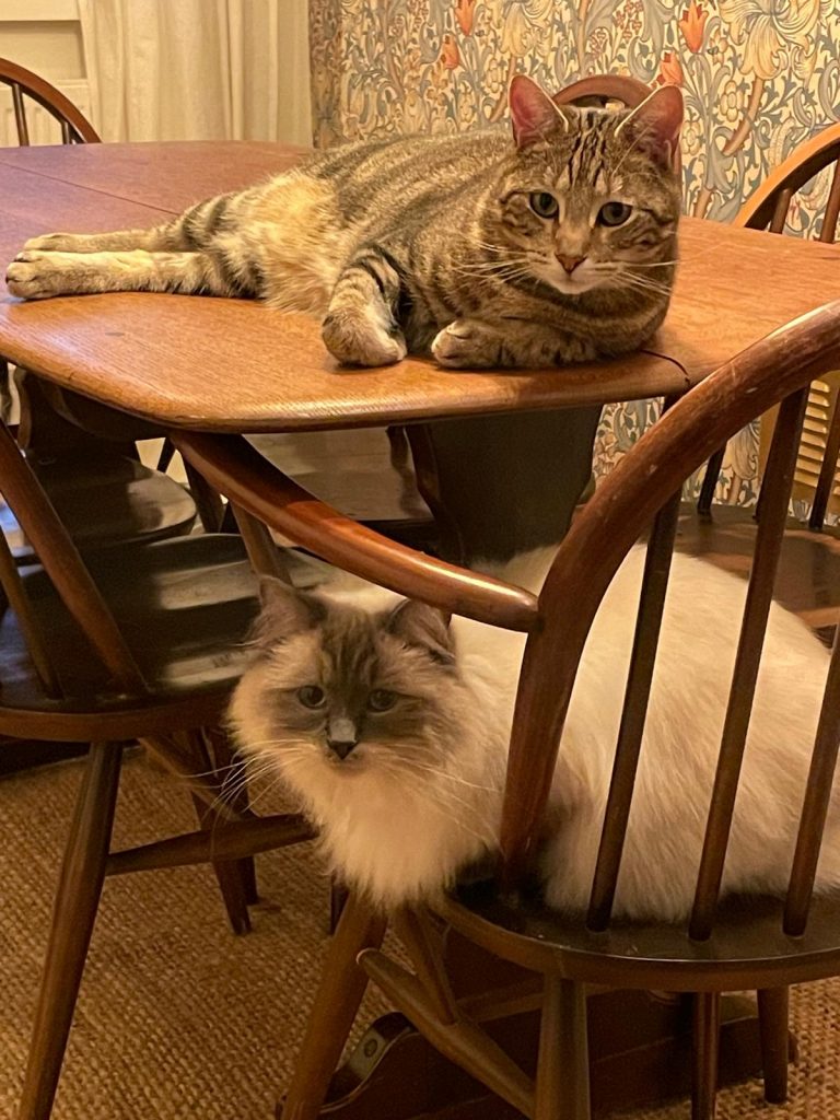 Otis and Angus
